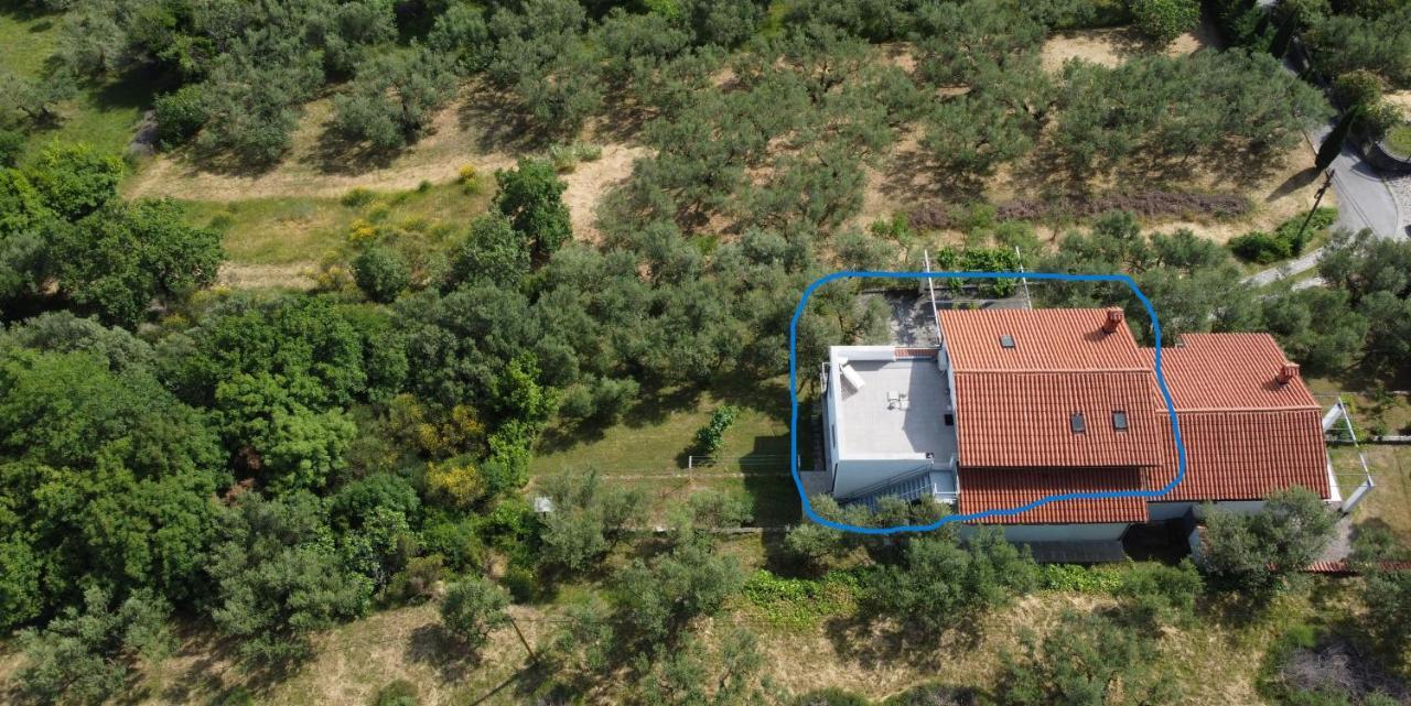 Ferienwohnung House Among Olive Trees With A Sea View 1 Ankaran Exterior foto
