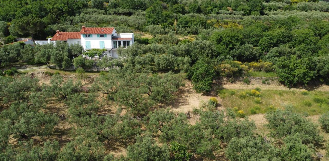 Ferienwohnung House Among Olive Trees With A Sea View 1 Ankaran Exterior foto