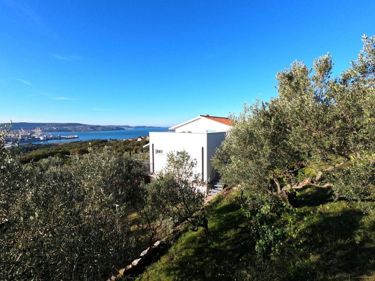 Ferienwohnung House Among Olive Trees With A Sea View 1 Ankaran Exterior foto
